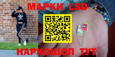 mdpv Будённовск