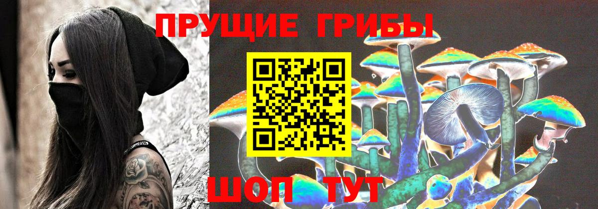 Тулун  Галлюциногенные грибы прущие грибы  Вход с VPN 
